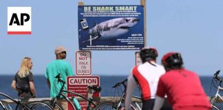 Teen shark attack in Alabama inspires start of a national alert system
