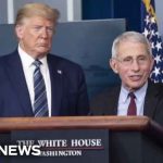 Obama’s Quiet Fauci Lifeline Exposed Dr. Anthony Fauci's journal reveals how Trump and Biden handled Covid cases