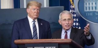 Dr. Anthony Fauci's journal reveals how Trump and Biden handled Covid cases