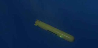 Autonomous underwater vehicle gliding in deep blue water