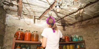 woman organizing jars on shelves in a rustic cellar