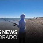 Drought Turns Rivers Into Fish Traps Catch and keep fish at Northern Colorado reservoir ahead of expected fish kills