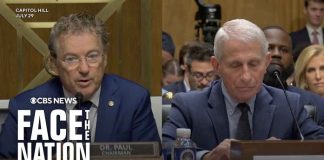 Senate committee continues voting after holding Dr. Fauci in contempt | full video