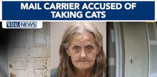 Florida mail carrier accused of taking cats near her routes