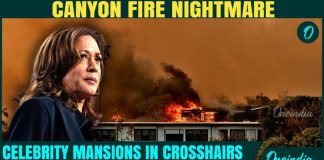 Harris’ Home Burnt to Ashes in Last LA Wildfires?|Canyon Fire Creeps Too Close to Celebrity Mansions
