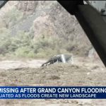 15 missing in Grand Canyon after flash flood hits creek leading to the Colorado River