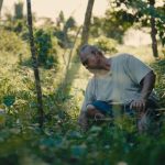 Inclusive Climate Action for Fiji (ICAF) - Navakawau Village