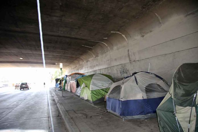 shutterstock_1430654129 Tents lined up under a concrete overpass