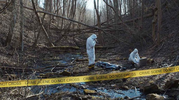 forensic investigators in hazmat suits at a taped-off woodland scene