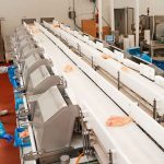 $250K Chicken Heist Exposes Booming Black Market Workers in protective gear at a food processing conveyor line