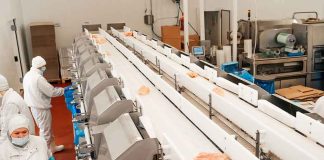 Workers in protective gear at a food processing conveyor line