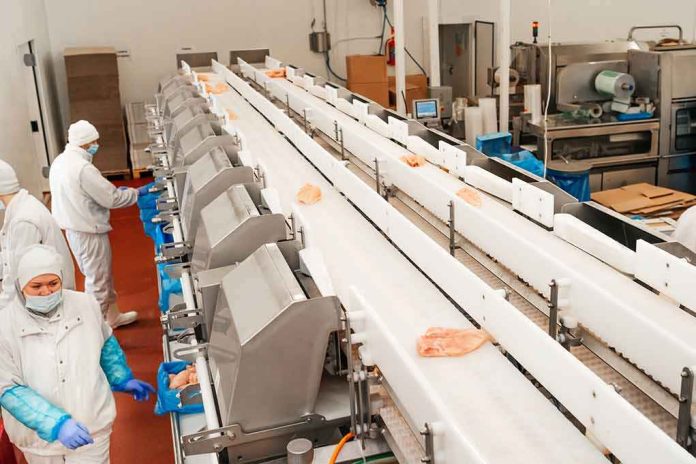 Workers in protective gear at a food processing conveyor line