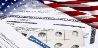 U.S. immigration and naturalization documents with American flag