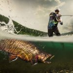 Fishing and Hunting Faces Criminalization in Oregon angler fighting a large fish in a split-level water shot