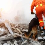 rescue worker with dog searching rubble