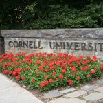 Cornell Picks Attorney General Trump FIRED Cornell University stone sign with red flowers
