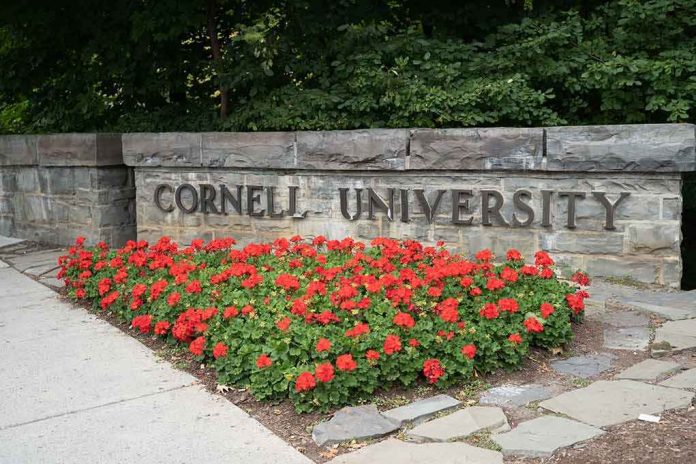 Cornell University stone sign with red flowers